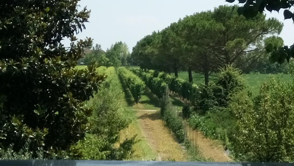 La Pioppa Agriturismo Sacile Exterior photo